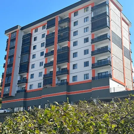 North Point 61 *